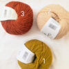 Pelote de laine bio Semilla BC Garn coloris automne