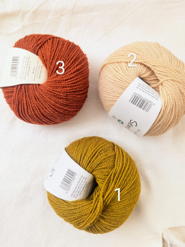 Pelote de laine bio Semilla BC Garn coloris automne
